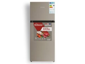 Refrigerateur Golden Star DP290 2029